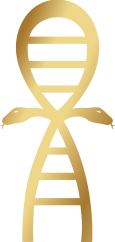 immortality_logo_virada