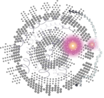 tecno_logo